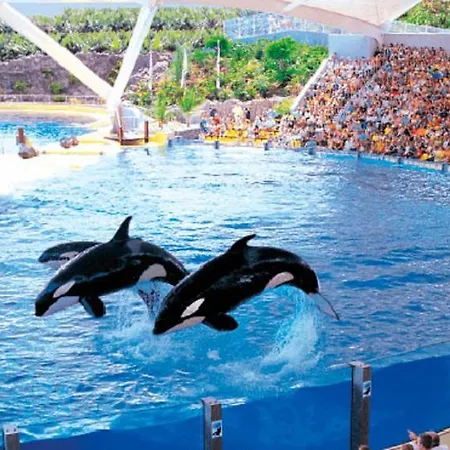 Near To The Ocean In Touristic Center Zone Apartamento Playa de las Américas